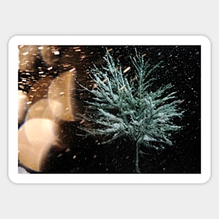 ​Tree in Snow Fall Sticker